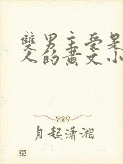 双男主受是双性人的黄文小说