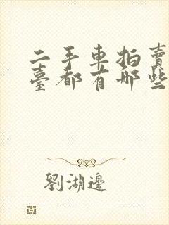 二手车拍卖网平台都有哪些