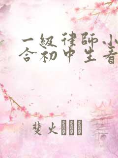 一级律师小说适合初中生看吗