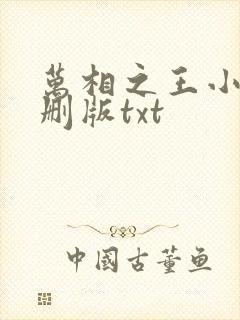 万相之王小说未删版txt