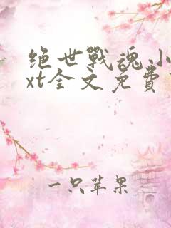 绝世战魂小说txt全文免费下载
