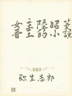 女主陆昭菱男主晋王的小说