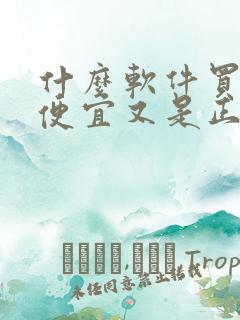 什么软件买鞋子便宜又是正品