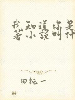 我知道你是谁原著小说叫什么名字