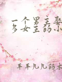 一个男主娶了很多女主的小说