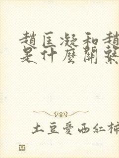 赵匡凝和赵匡胤是什么关系