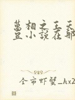 万相之王天蚕土豆小说在那里更新