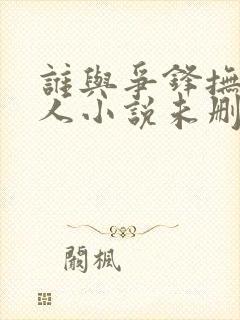 谁与争锋抚琴的人小说未删版全文