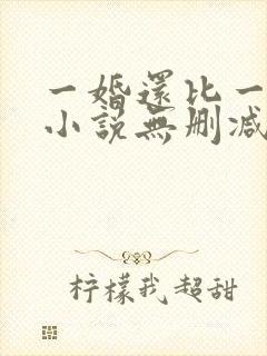 一婚还比一婚高小说无删减版