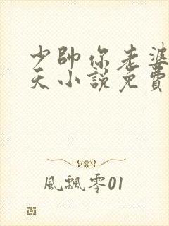 少帅你老婆要翻天小说免费阅读