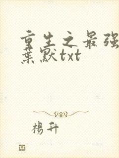 重生之最强弃少叶默txt