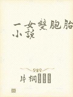 一女双胞胎男主小说