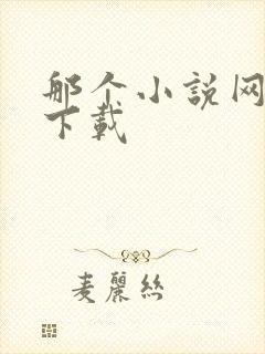 那个小说网可以下载