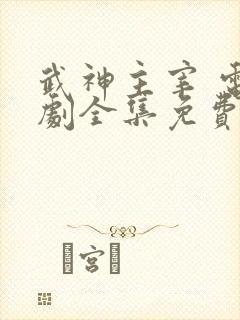 武神主宰 电视剧全集免费观看