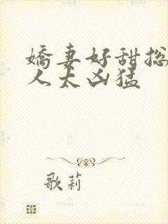 娇妻好甜总裁大人太凶猛