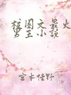 校园文最火的双男主小说