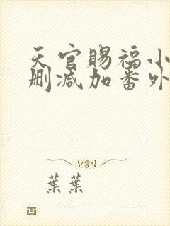 天官赐福小说无删减加番外txt