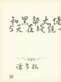 和黑帮大佬365天在线观看