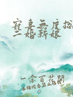 宠妻无度总裁的二婚新娘