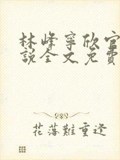 林峰宁欣官场小说全文免费阅读