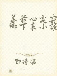 姜爷心尖宠她从乡下来小说版