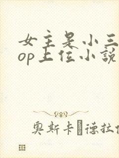 女主是小三的pop上位小说