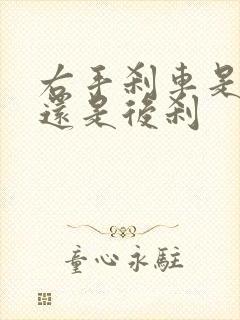 右手刹车是前刹还是后刹