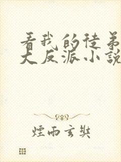 看我的徒弟都是大反派小说