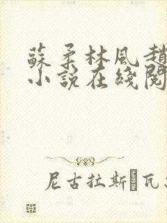 苏柔林风赵刚的小说在线阅读8