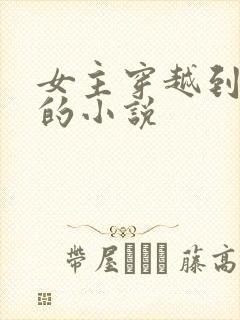 女主穿越到后宫的小说