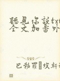 听见你说txt全文加番外