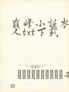 巅峰小说岑寨散人txt下载