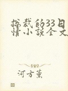 总裁的33日索情小说全文阅读