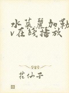 水菜丽加勒比av在线播放