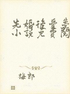 先婚后爱梦筱二小说免费阅读