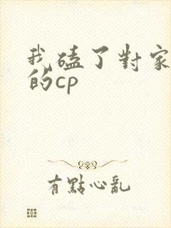 我磕了对家x我的cp