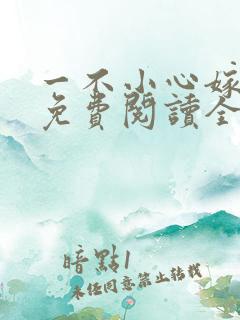 一不小心嫁总裁免费阅读全文