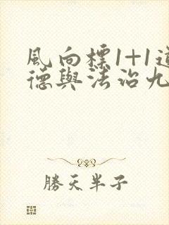 风向标1+1道德与法治九年级答案