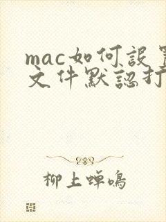 mac如何设置文件默认打开方式