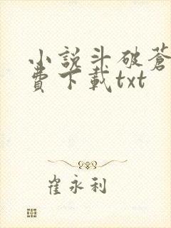 小说斗破苍穹免费下载txt