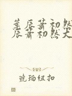 叶辰萧初然 叶辰萧初然大结局