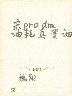 宋pro dm油耗真实油耗