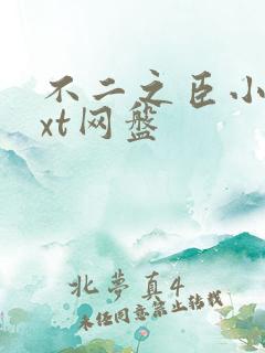 不二之臣小说txt网盘