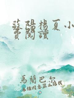 苏阳杨夏小说免费阅读