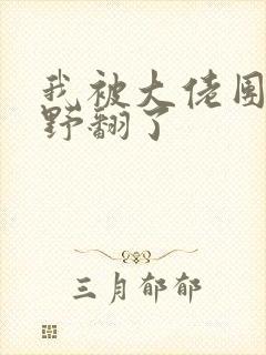 我被大佬团宠后野翻了