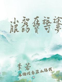 小智在旅途篇收服的宝可梦