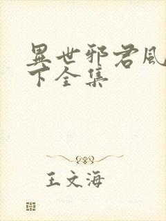 异世邪君风凌天下全集