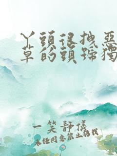 丫头很拽恶魔校草的头号独宠