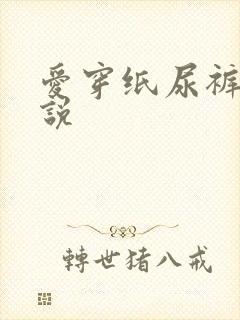 爱穿纸尿裤的小说