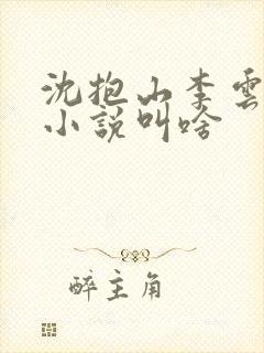 沈抱山李云舒的小说叫啥